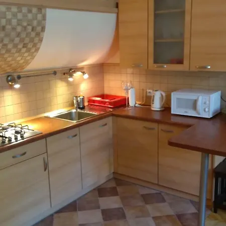 Apartment Zelazna *