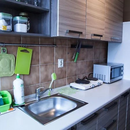 Zelazna Apartment *